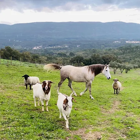 Natureza בית נופש *