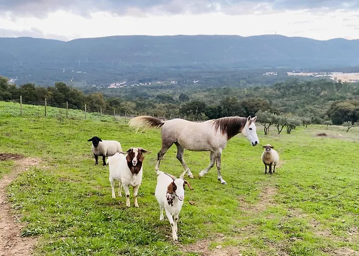 Natureza Casa de Férias *